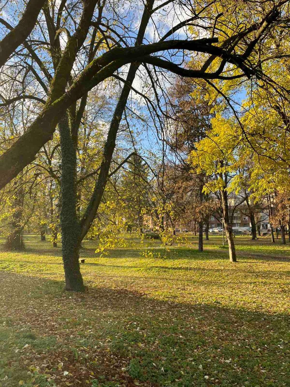 Park Apartment Foca Eksteriør billede